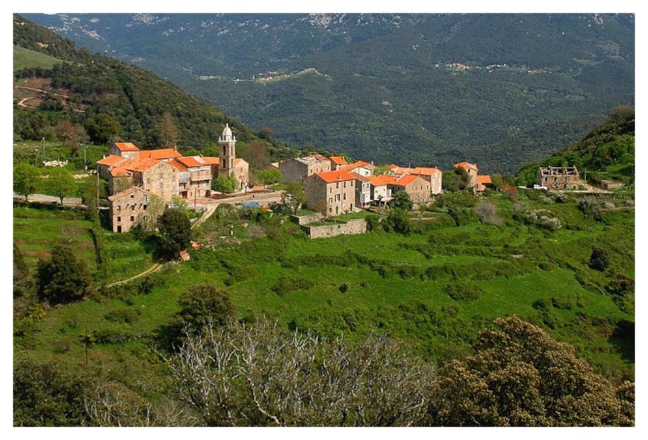 Villa Casadimela Porto Vecchio Exterior foto